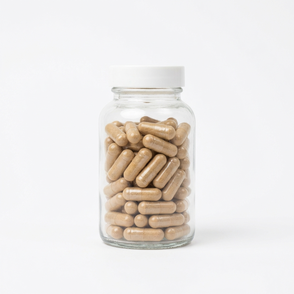 Ashwagandha KSM-66 600mg — Stress, Focus & Mental Performance